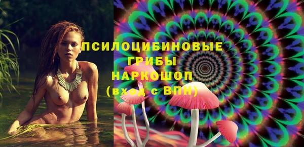 гашик Алексин