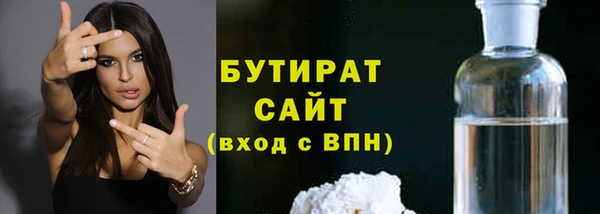 гашик Алексин