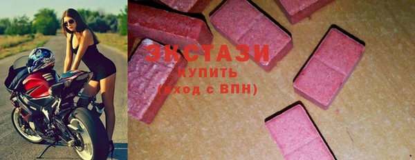 гашик Алексин