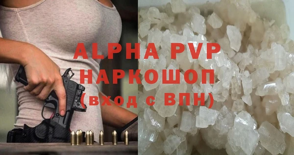 винт Абаза
