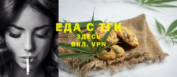 шишки Новодвинск